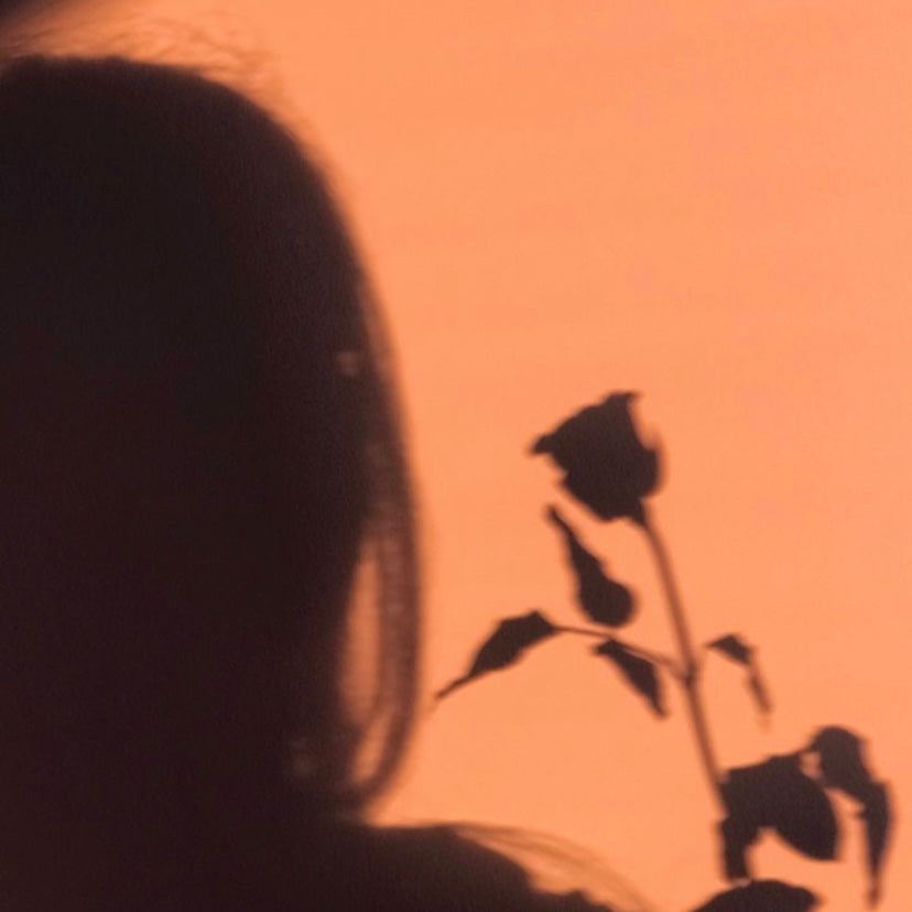 Natural Ingredient Spotlight: Benefits of Rose in Skincare