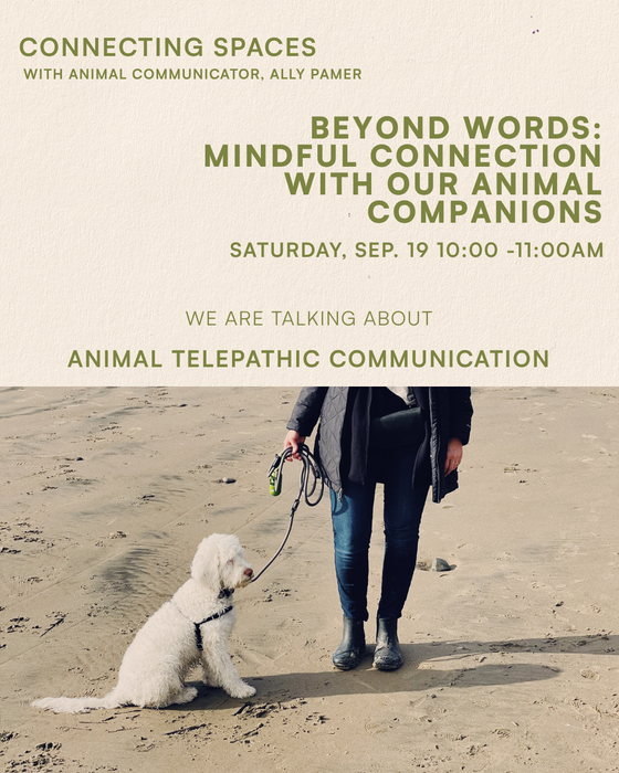 CONNECTING SPACES ~ ANIMAL TELEPATHIC COMMUNICATION ~ SAT., SPET. 19th  AT 10AM