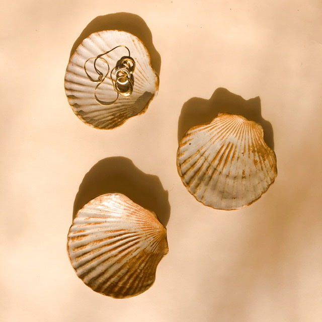 Seashell Plates