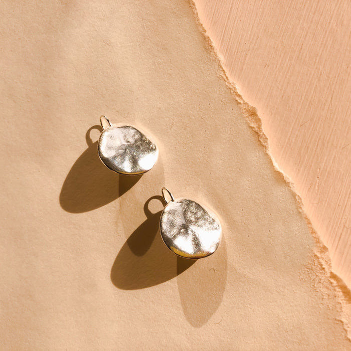 Terra Hook Earrings in Sterling Silver