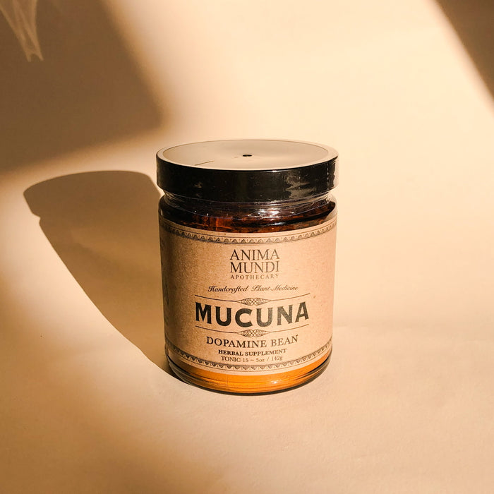 Mucuna Pruriens : Dopamine Bean